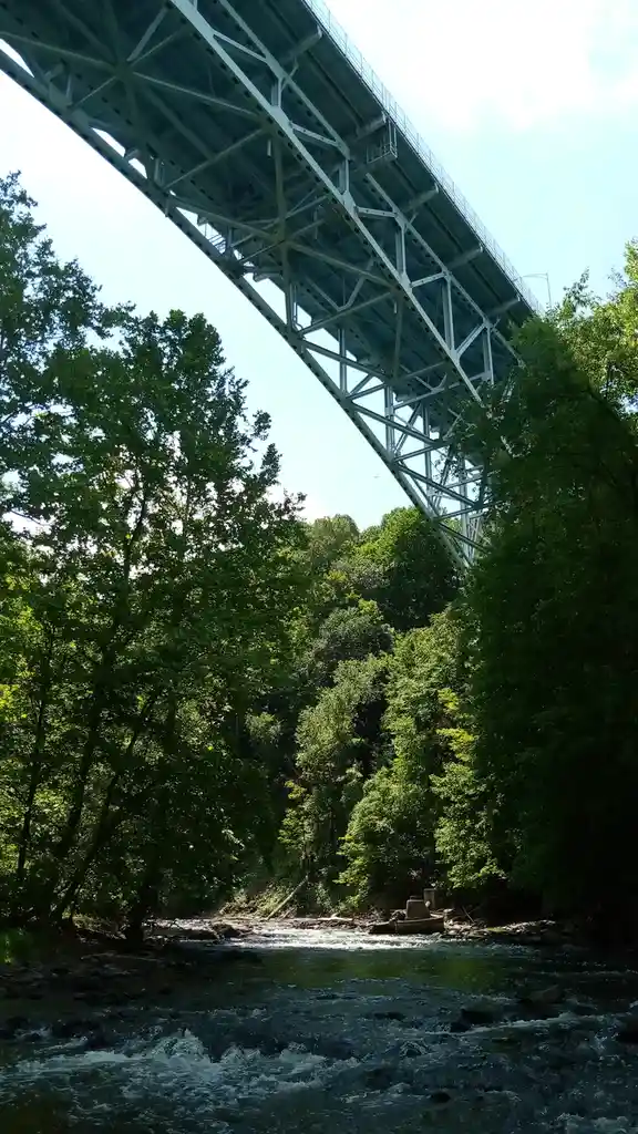 A low-angle photo shows a large steel truss bridge arching over a fast-flowing river surrounded by dense green trees under a…