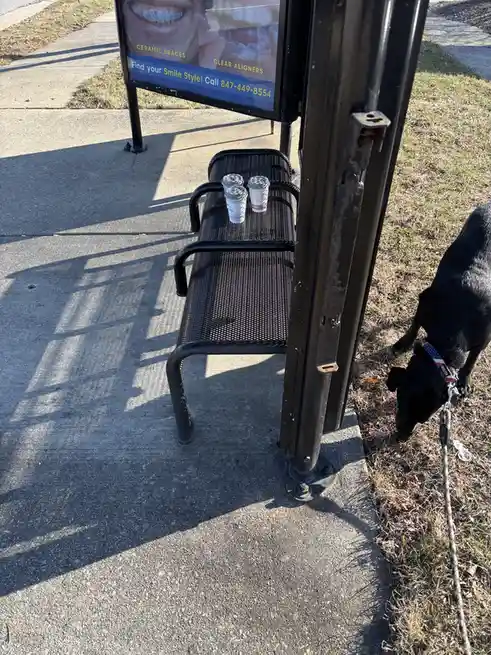 A black metal bench at an outdoor bus stop has two coffee cups sitting on its seat. Behind the bench is a dental…