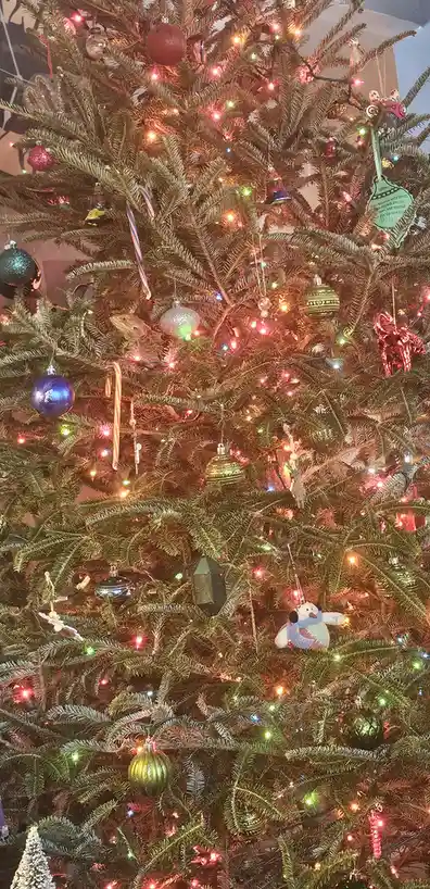 A close-up photo of a decorated christmas tree with colorful lights, ornaments, and candy canes. A small lizard is…
