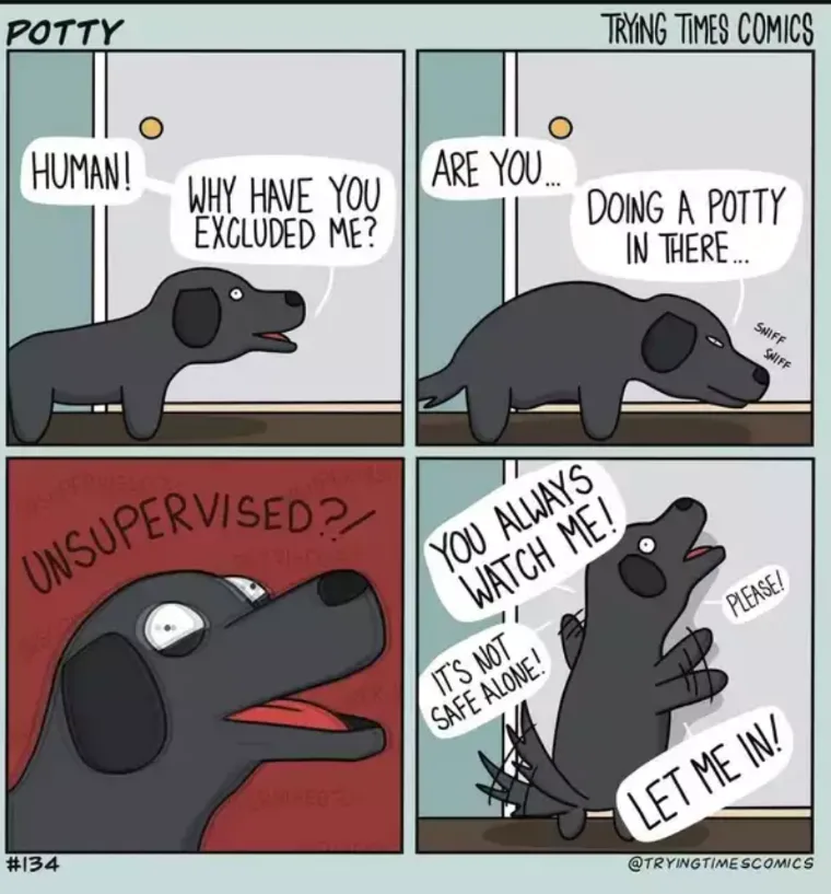 A four-panel comic strip by Trying Times Comics shows a black dog standing outside a closed door, accusing the human inside…