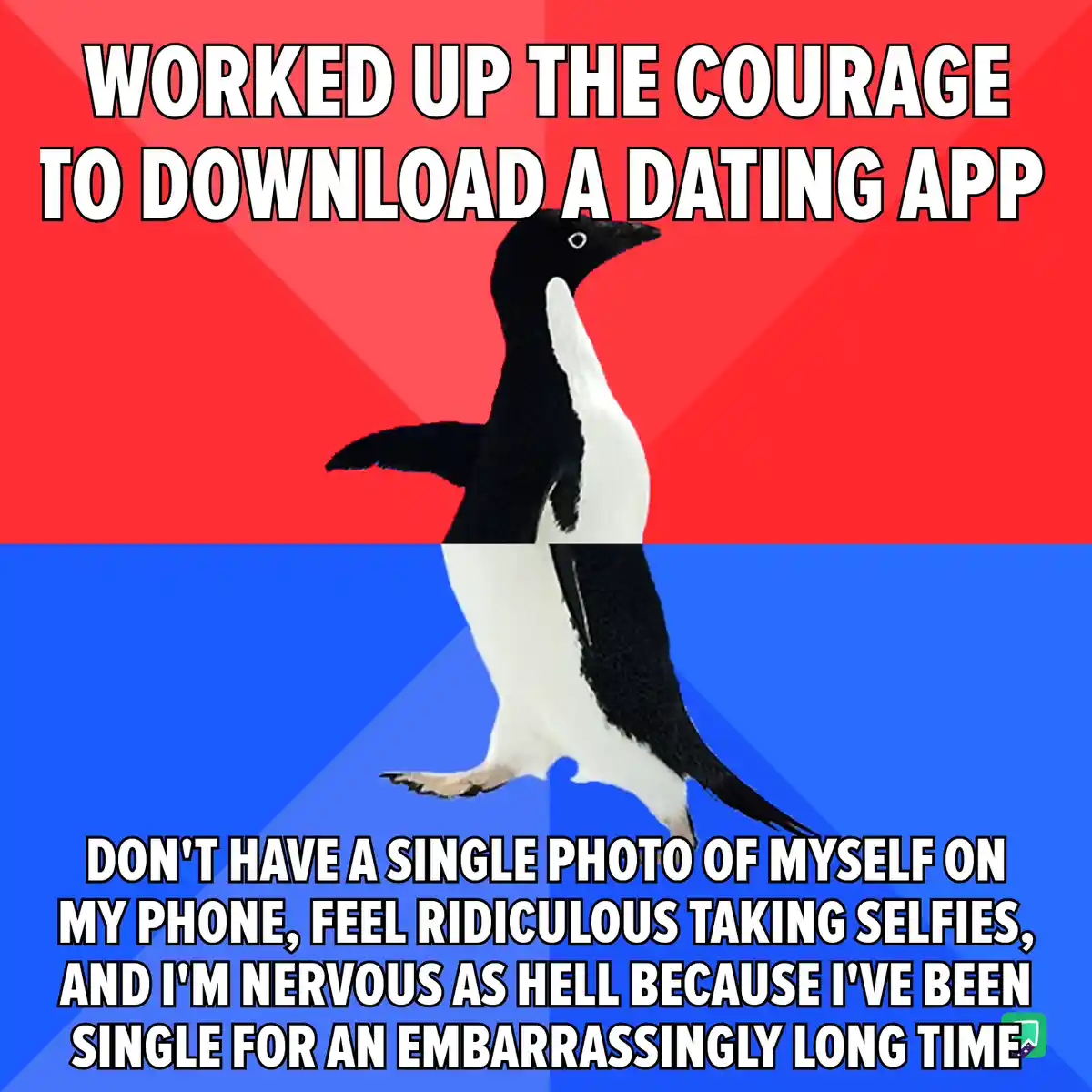 Diving into the Abyss of Online Dating Chaos