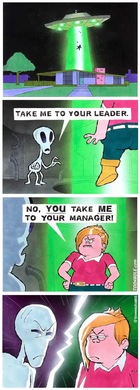 Out of This World: The Alien Abduction Experience