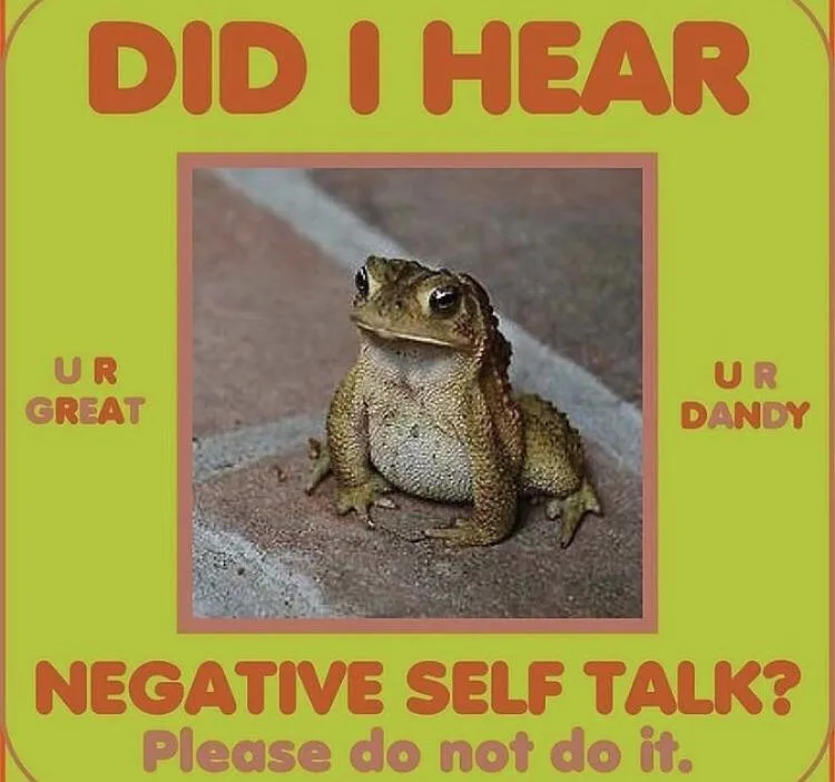 A toad sits on a paved surface, framed by a lime-green border with orange text. The text reads 'DID I HEAR UR GREAT UR DANDY…