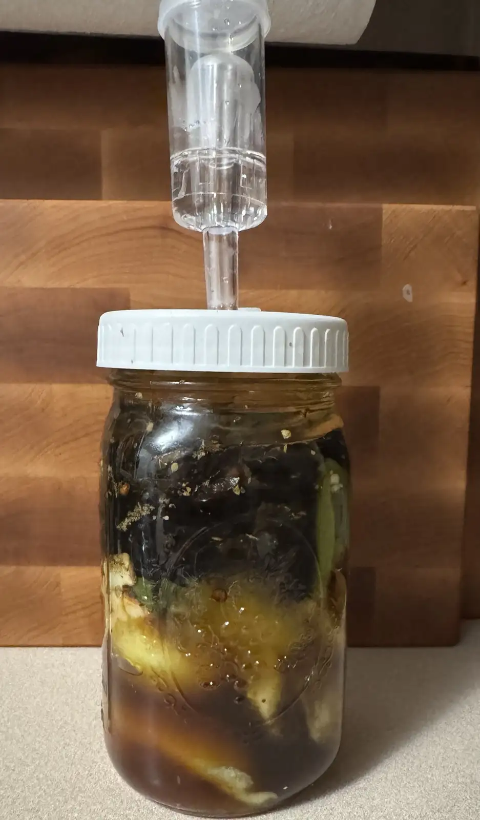 Day 1 of My Fermented Pasilla and Serrano Hot Sauce Journey