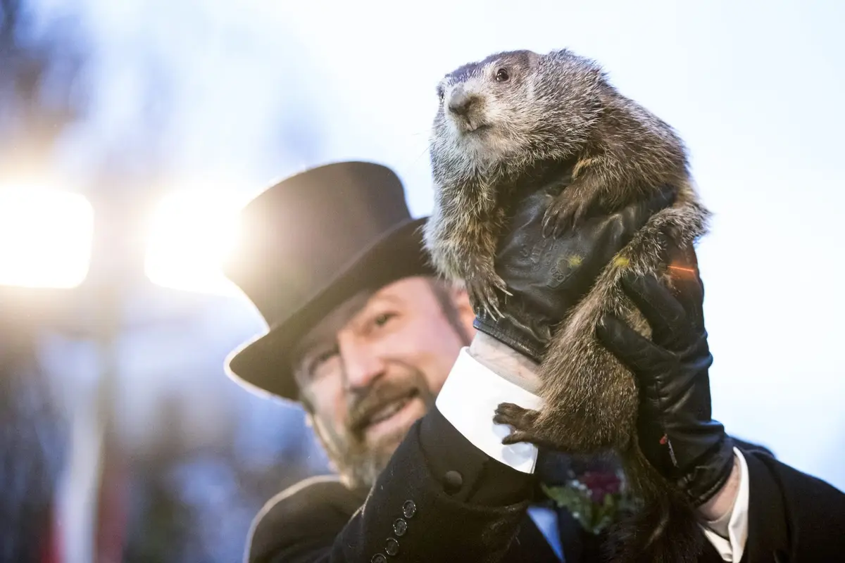 A man in a top hat and formal coat holds a groundhog aloft in front of bright lights, with the text 'groundhog day'…