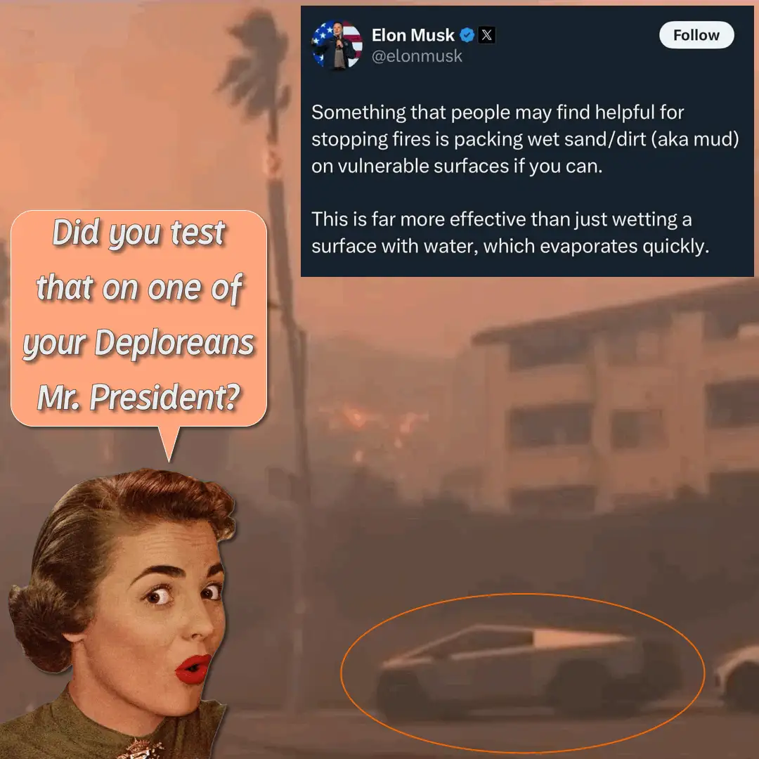 A grid of six panels shows a vintage woman with a shocked expression, overlaid with a tweet from Elon Musk about using wet…