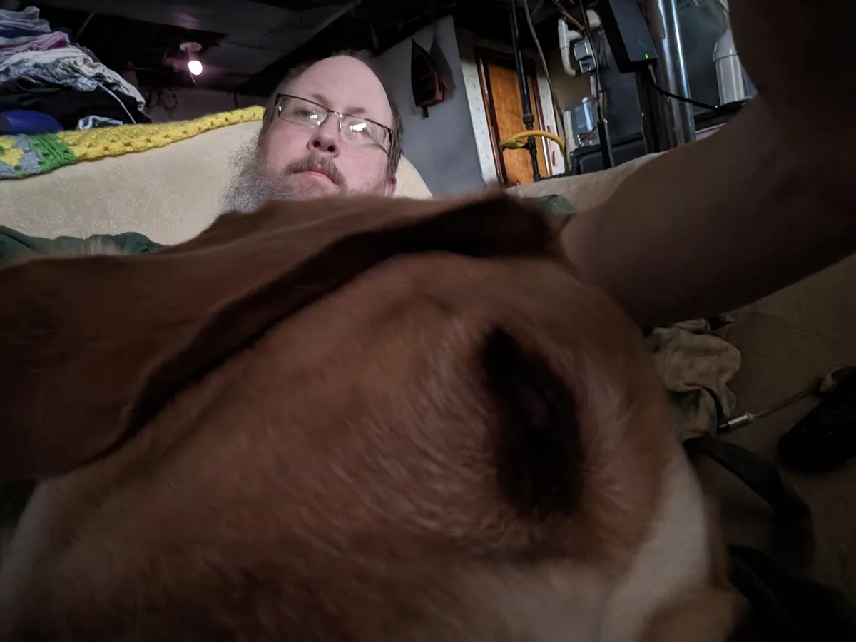 A man with glasses and a beard lies on a couch, looking up at the camera with a confused expression, while a brown dog's…