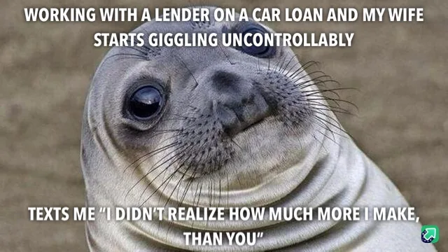 A close-up image of a baby seal with large, innocent eyes and a slightly smug expression, looking directly at the viewer…