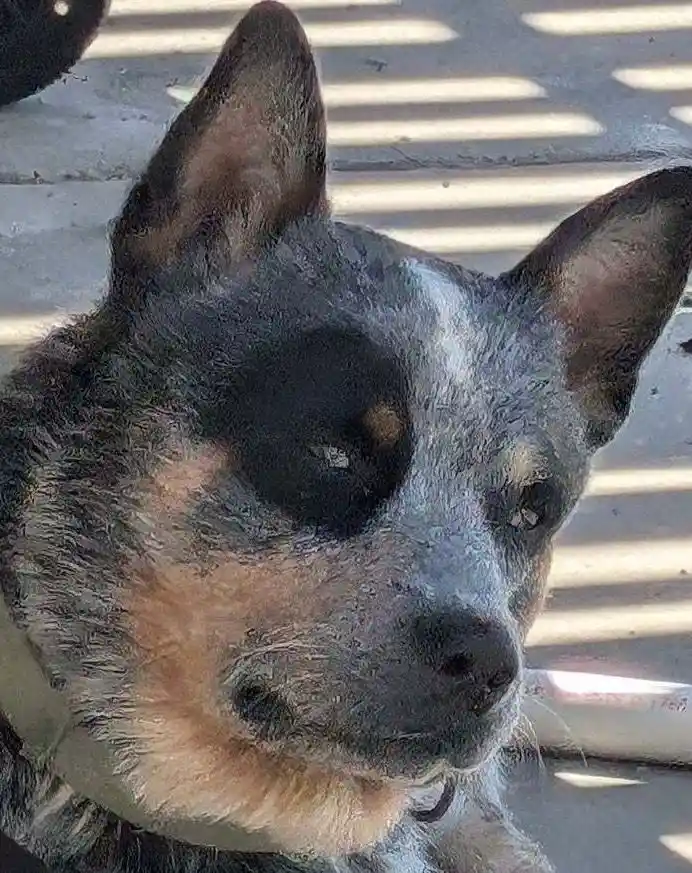 The Look of Judgment: He's Watching You