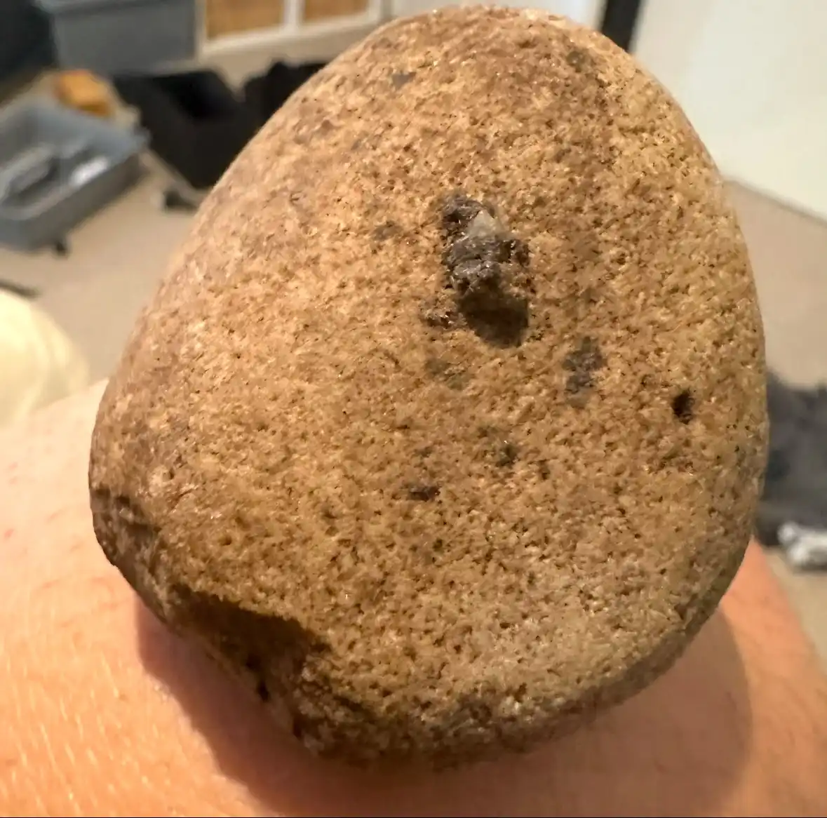 A close-up photo shows a person holding a rough, brown, oval-shaped rock with a small dark hole near its center. The rock's…