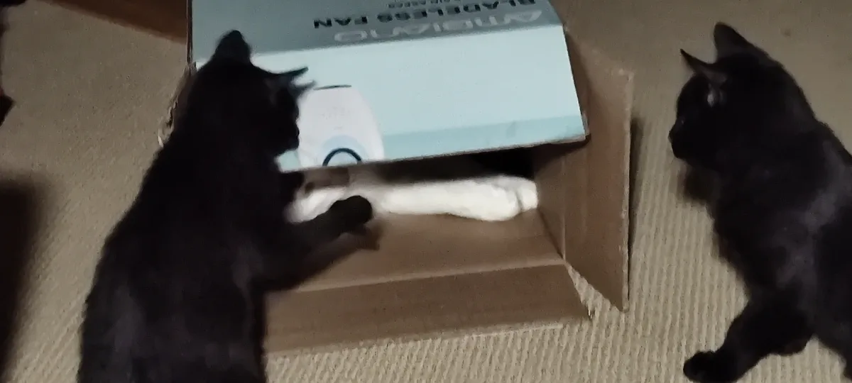 Clive's Dilemma: Trapped Inside The Box While the Fosters Are Clueless
