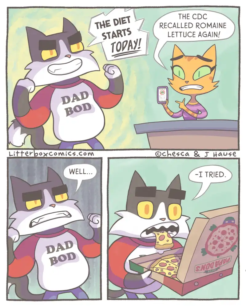 A four-panel comic strip featuring two anthropomorphic cats. In the first panel, a grey cat wearing a 'DAD BOD' shirt…