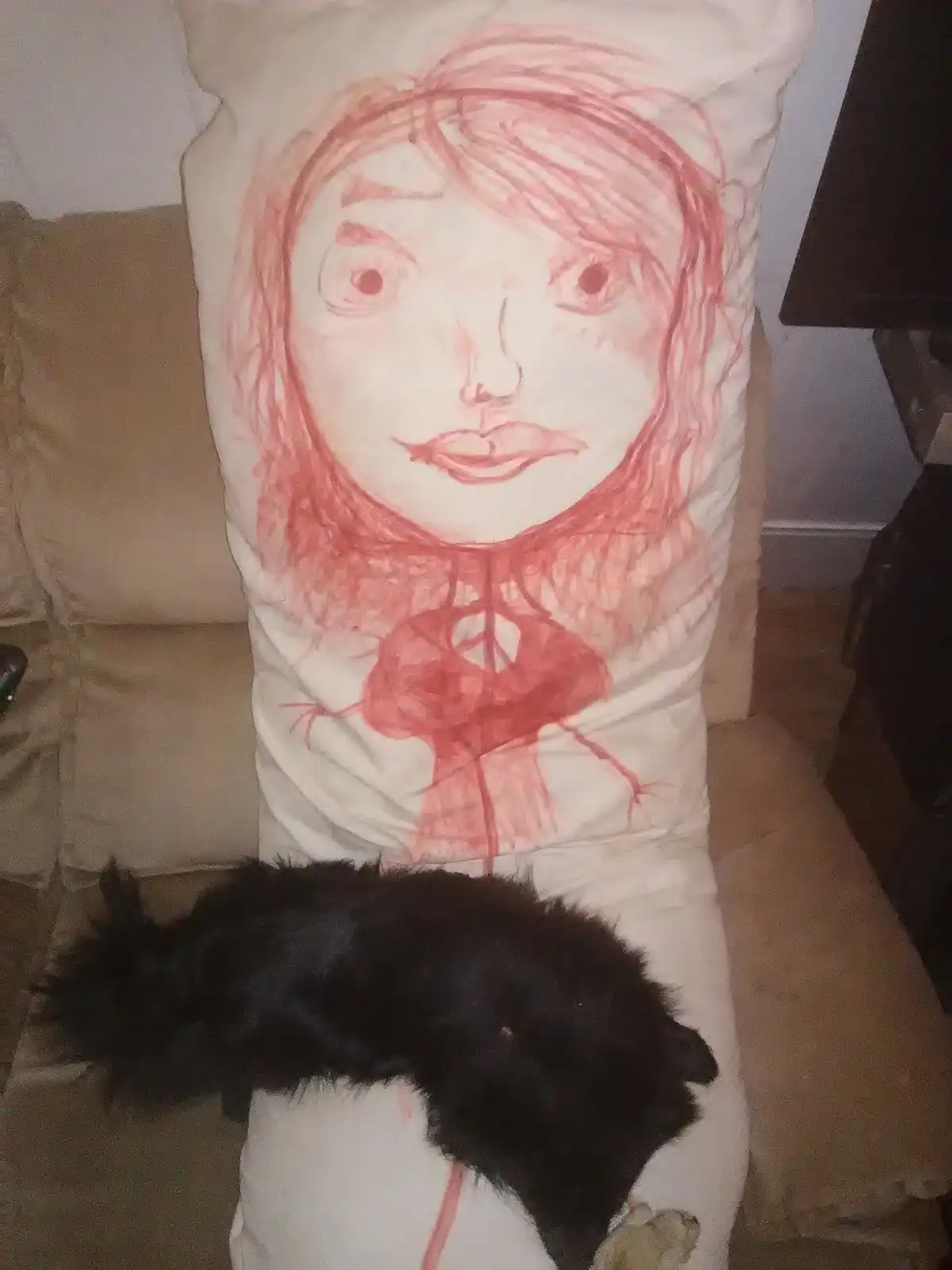 A black, fluffy cat is sleeping curled up on a large white pillow that has a crude red crayon drawing of a girl's face with…