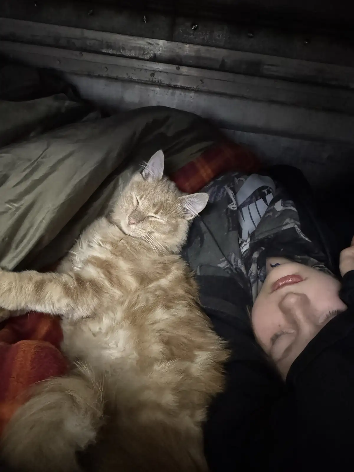 A person and a fluffy orange cat are sleeping side by side in a dimly lit bed, both appearing deeply asleep. The person is…