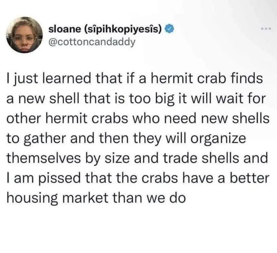 A screenshot of a tweet by user sloane (@cottoncandaddy) showing a humorous complaint about hermit crabs having a more…