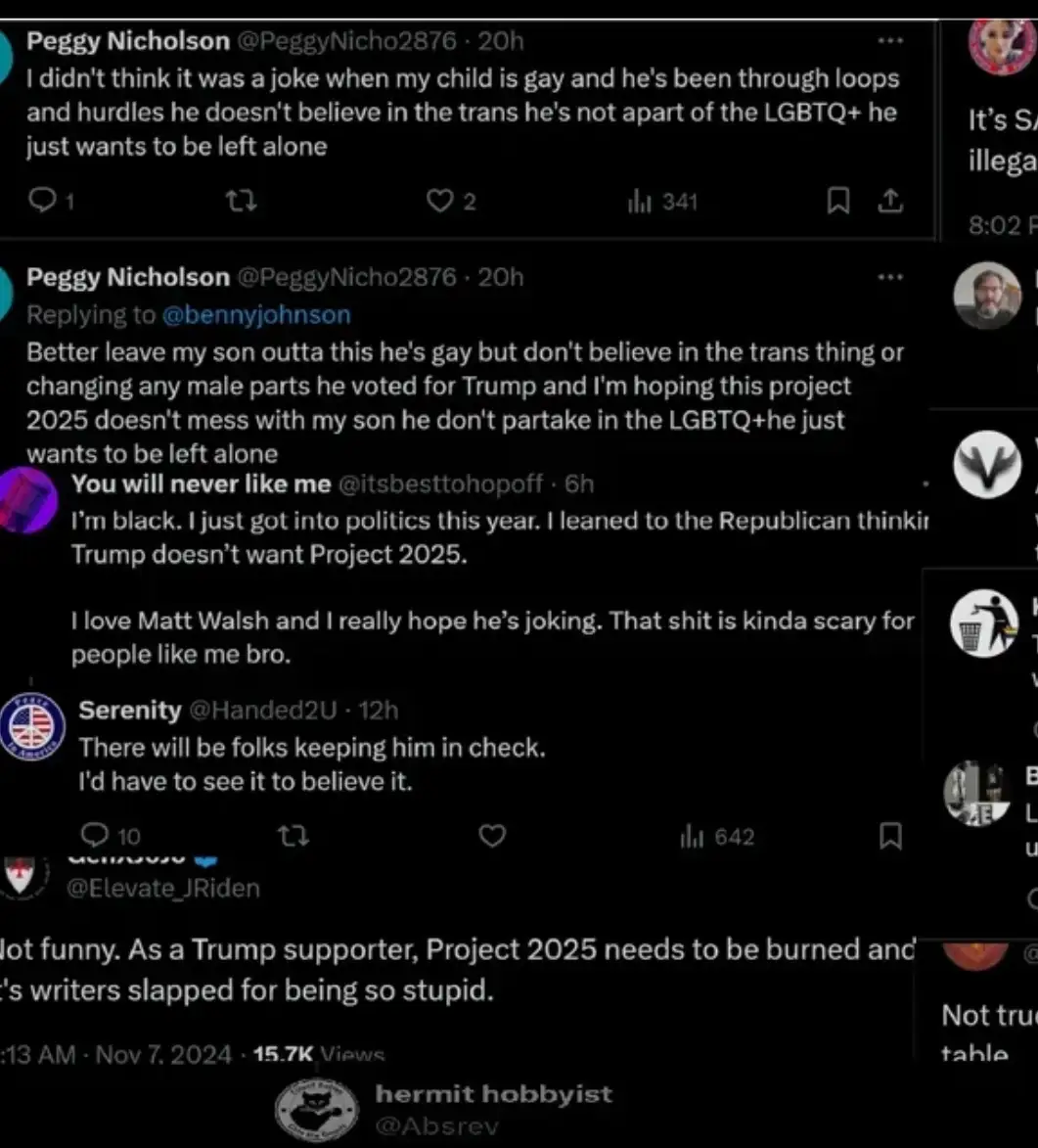 A screenshot of a Twitter/X thread showing a user named Peggy Nicholson expressing concern that her gay son, who doesn't…