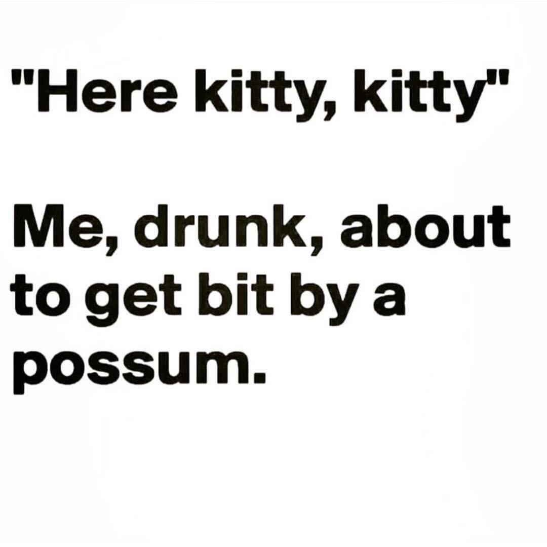 A plain white background with bold black text. The top line reads "Here kitty, kitty" in quotation marks. Below it, the text…