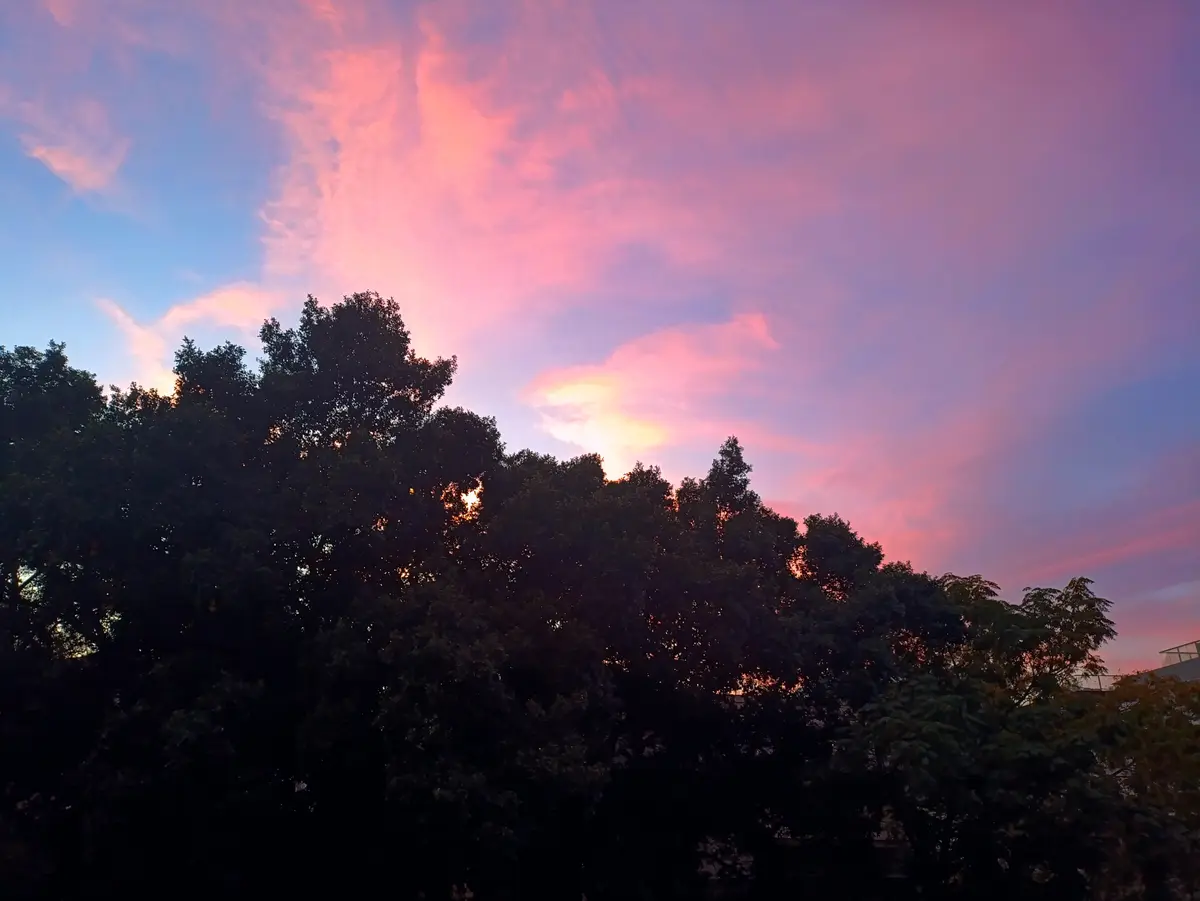 A photograph of a vibrant pink and purple sunset sky with scattered clouds, framed by the dark silhouettes of tree tops. The…
