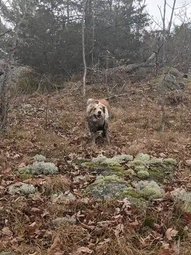 At Least He's Living His Best Life