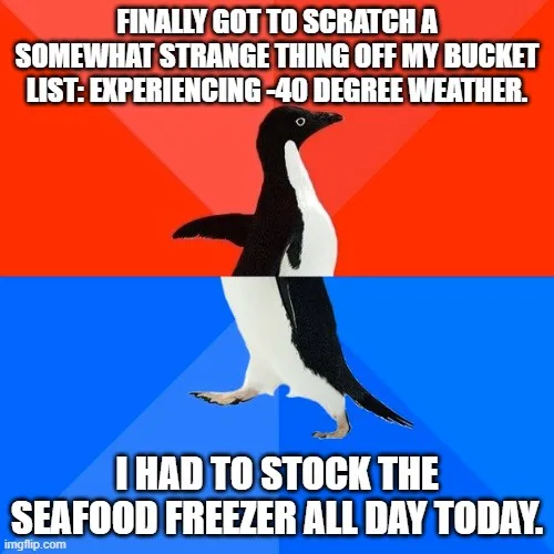 An image of an adélie penguin standing upright against a red and blue background, split horizontally. The top half has white…