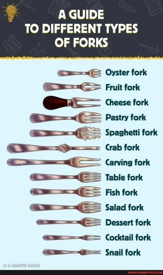 An infographic titled 'A GUIDE TO DIFFERENT TYPES OF FORKS' displays 13 illustrated forks, each labeled with its specific…