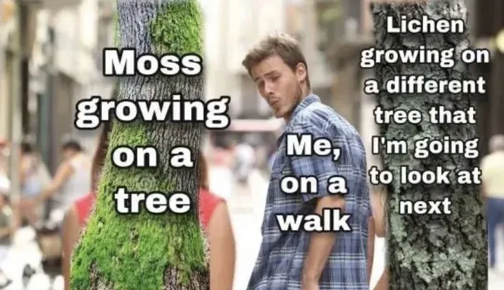 A man in a plaid shirt stands on a sidewalk looking at a tree covered in green moss, with text overlaying the image. The…