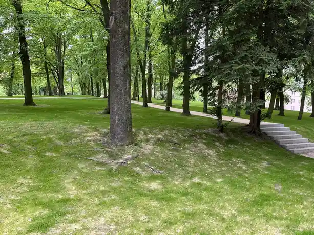 A serene park scene with lush green grass, numerous trees, and a concrete staircase on the right. A winding path cuts…