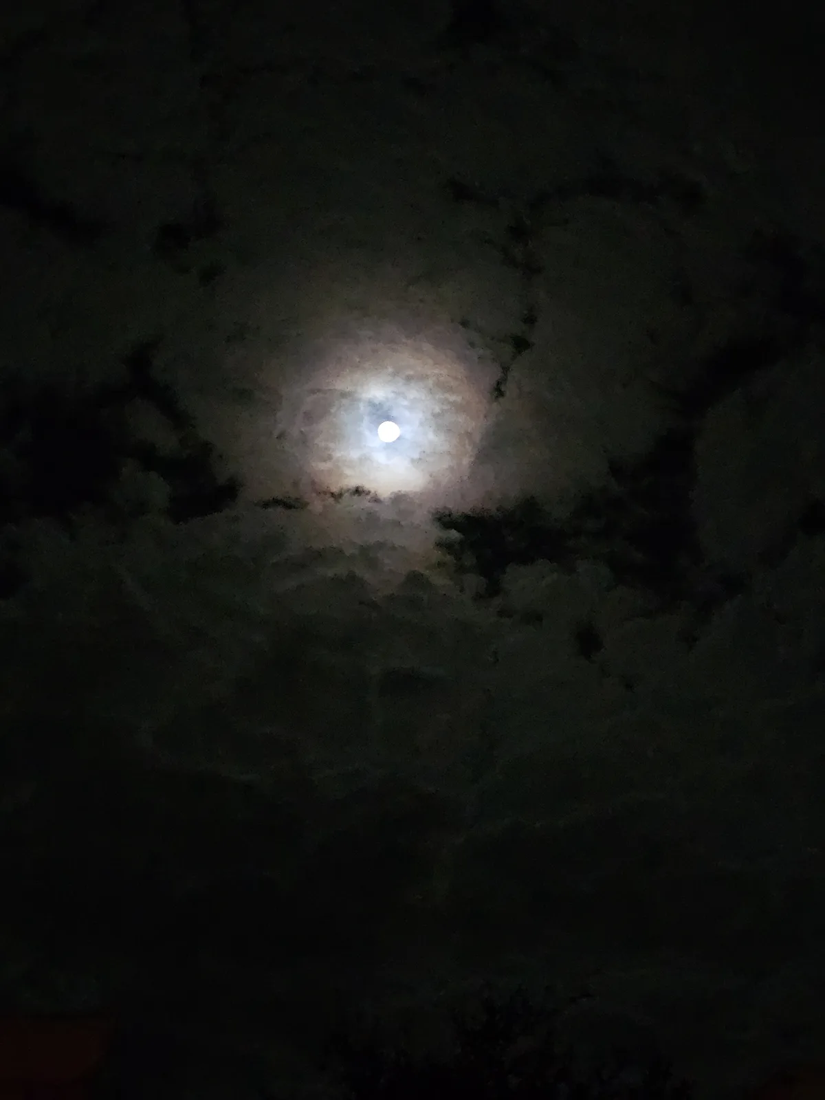 Tonight's Enchanting and Moody Moon