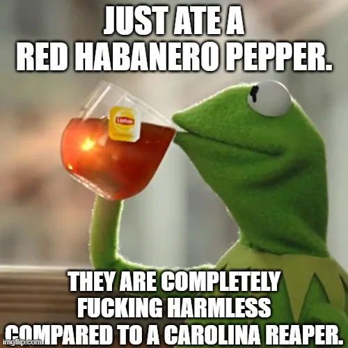 A green frog puppet, Kermit the Frog, is shown sipping from a glass of red tea with a Lipton tag. White bold text overlays…