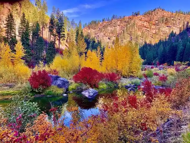A vibrant autumn landscape with a stream, colorful yellow and red foliage, and rocky hillsides under a clear blue sky…