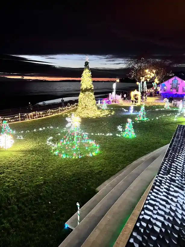 A nighttime photo of a festive outdoor area with a large, brightly lit Christmas tree and smaller decorative light displays…