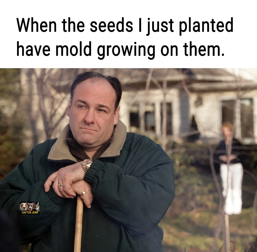 The Master Grower at Work
