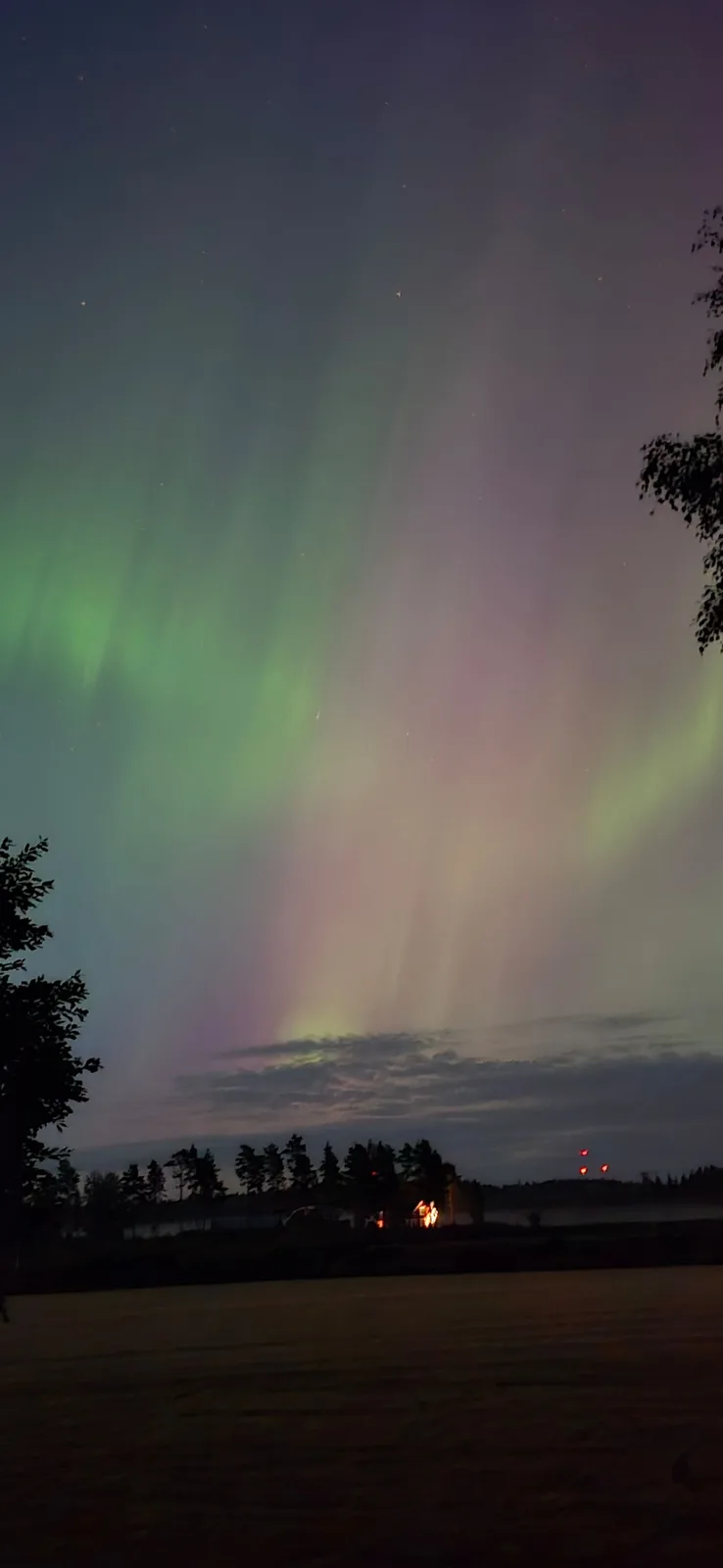 A night sky photograph shows vibrant green and purple auroras dancing above a dark landscape with silhouetted trees and a…