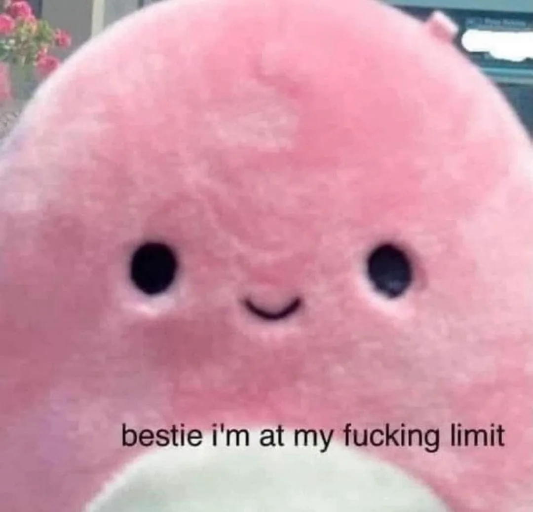 A close-up of a pink, round, fuzzy plush toy with simple black eyes and a small smile, overlaid with the text 'bestie i'm at…