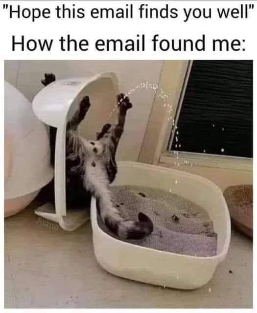 A cat is upside down in a white litter box, with its paws raised and litter spraying out, as if it's dramatically 'finding'…