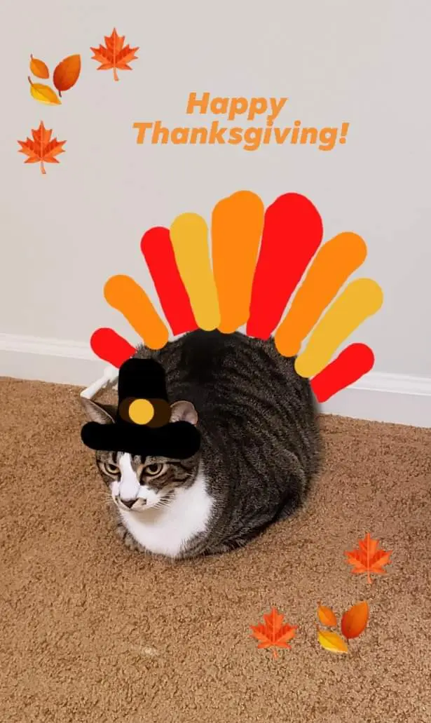 Wishing You a Joyful Thanksgiving Celebration!