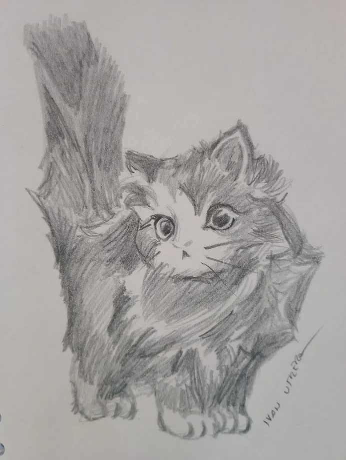 Just a Cat: The Internet's Favorite Feline