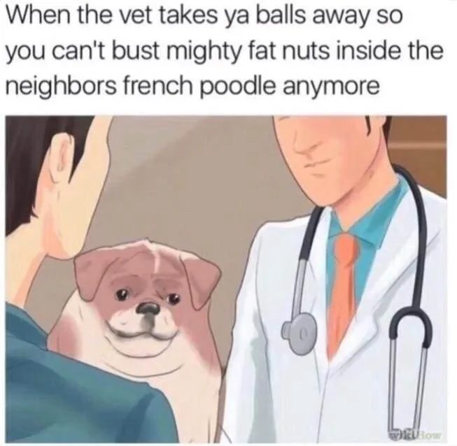An anime-style illustration shows a person in a blue shirt holding a small, smiling bulldog-like dog while a male…
