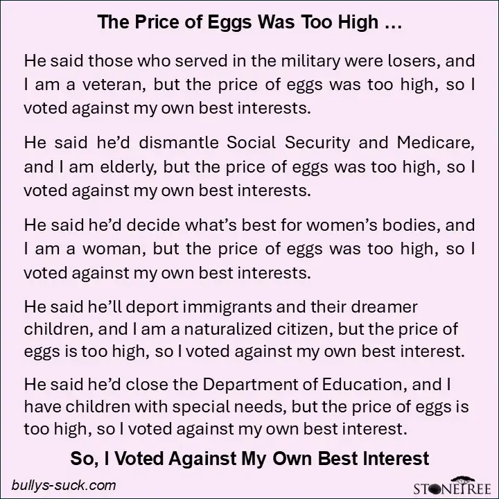 A light purple background with black text listing several political positions and the voter's personal stake, concluding…