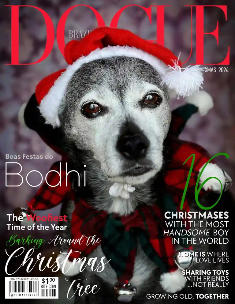 A gray and white dog wearing a red Santa hat and a red plaid outfit with bells looks directly at the camera. The image is…