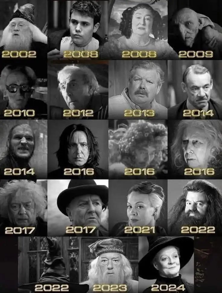 A grid of black-and-white images shows various Harry Potter characters, each with a year below them, visually representing…