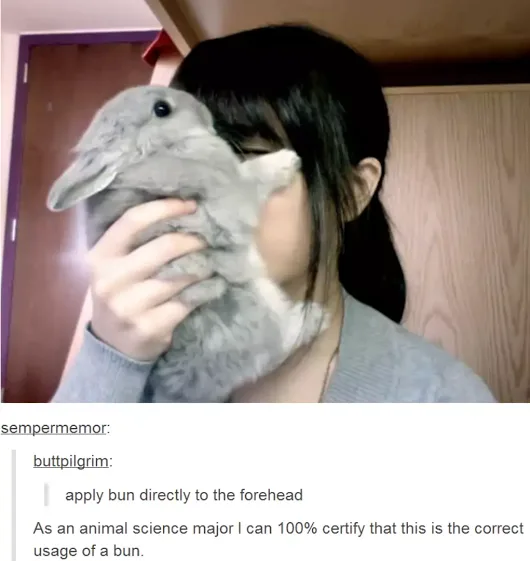 A person holds a gray rabbit in front of their face, obscuring it, with the rabbit's head positioned where a human's…