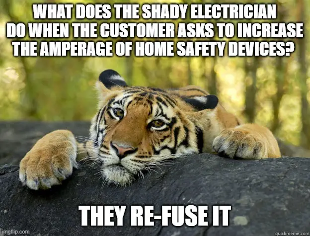 A tiger lying down on a rock with a bored or unimpressed expression, overlaid with text posing a punny question about an…