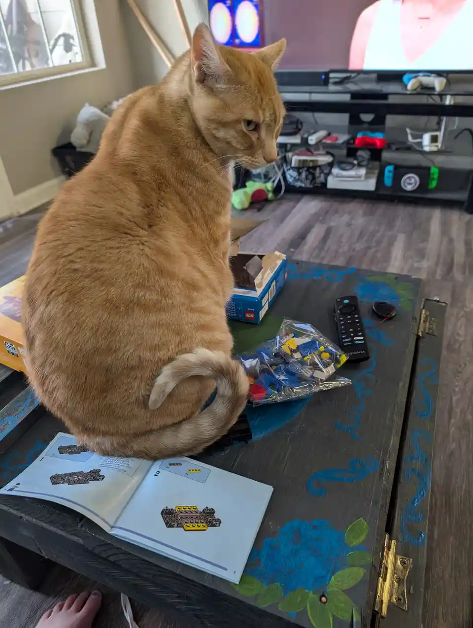 An orange tabby cat sits upright on a dark wooden chest with blue floral paint, looking down at an open LEGO instruction…