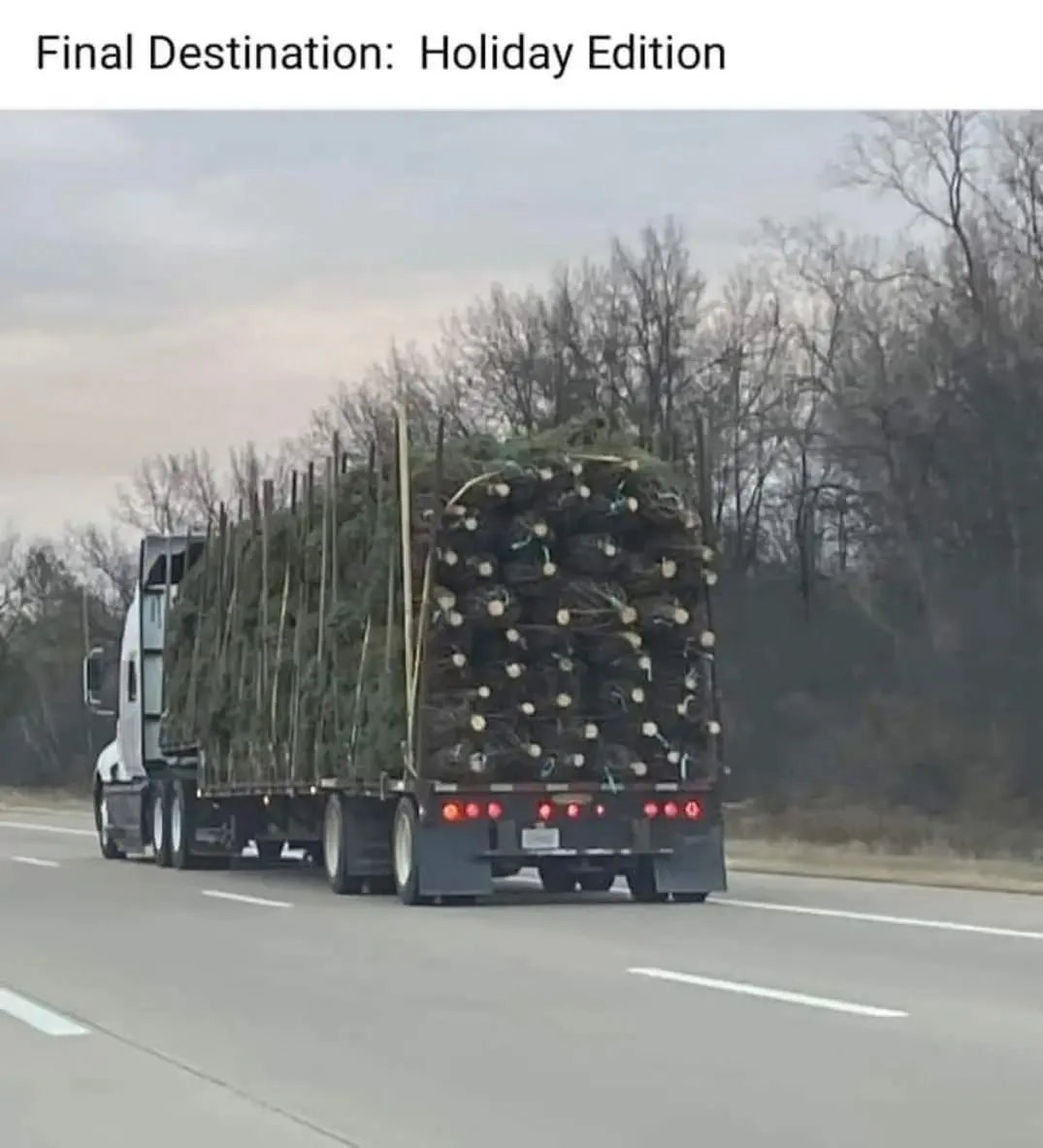 A large semi-truck drives down a highway with a flatbed trailer overloaded with Christmas trees, their cut stumps visible…