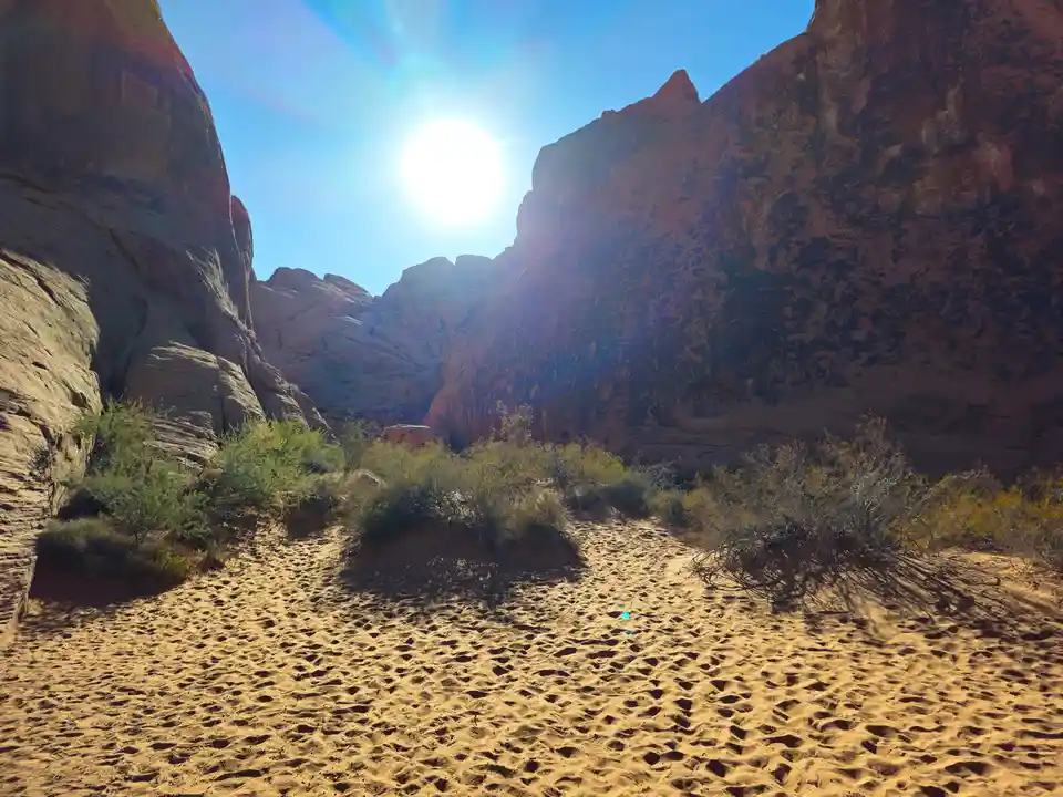A bright sun shines between towering red rock formations in a desert canyon, illuminating a sandy path with sparse green…
