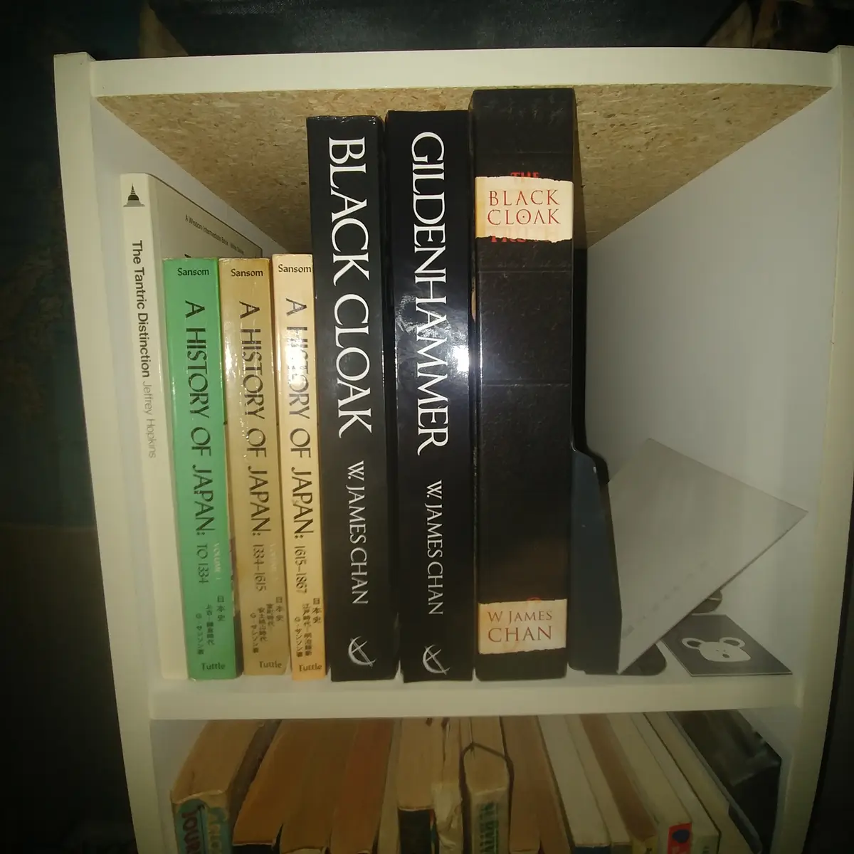 A bookshelf displays several books, including three titled 'Black Cloak' and one titled 'Gildenhammer', all by W. James…