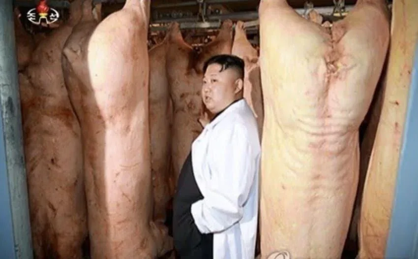a man in a white lab coat stands in a slaughterhouse surrounded by numerous hanging pig carcasses, looking to his right. The…