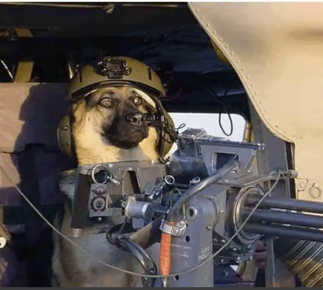 A German Shepherd dog wearing a military helmet and headset is positioned behind a heavy machine gun inside what appears to…