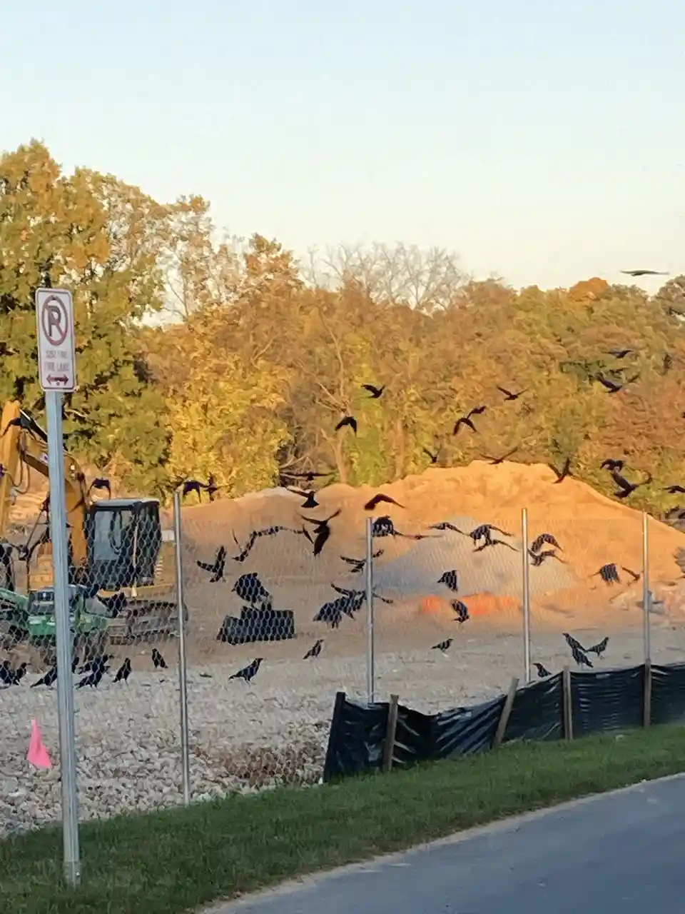 A construction site with a yellow excavator and a large pile of dirt behind a chain-link fence, with many black birds flying…